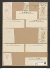 Diatomeae indet. Zeichnungen Sammlung Grunow Nr. 6590 (NHMW-BOT-W0375339)